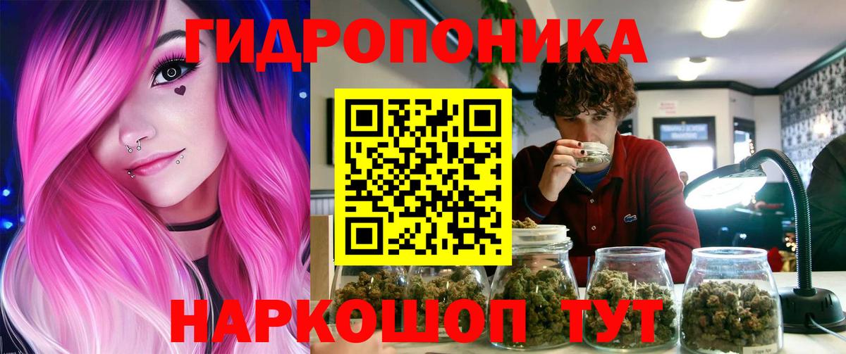 Чайковский  Марихуана THC 21%  Вход с VPN  Конопля Ganja 